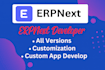 do customization,development and api integration for erpnext and frappe
