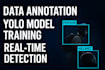 train a custom yolo model for your object detection project