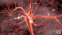 create 3d medical animation