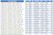 do professional excel data cleaning, formatting,and organize