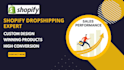 build and market a profitable shopify dropshipping store
