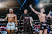 offer you muay thai coaching and technique breakdowns