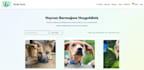 develop and deliver a complete functional website