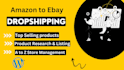 be your expert ebay and walmart virtual assistant