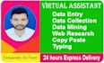 do data entry, data scraping, pdf to excel data entry