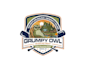create attractive and imagination owl logo design