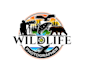 create wonderful and excellent wildlife logo design