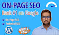 do on page SEO optimization service for google first page ranking