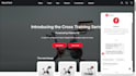 create ai chatbot for squarespace wix wordpress website, ai automation