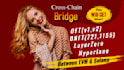 create a multichain token, and build cross chain bridge on evm, solana