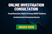 guide your online investigation with osint and digital intelligence expertise