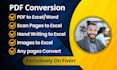 pdf convert excel convert pdf to word within 24hrs