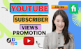 grow youtube channel to gain 1000 subscribers views watch time for monetization