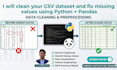 do professional data cleaning and preprocessing using python pandas