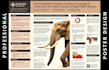 design medical, academic and scientific poster presentation