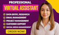 instagram virtual assistant email manager canva assistant social media manager