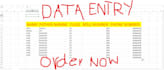 do data entry, data input, data extraction, collection, data mining