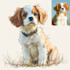 draw animals cartoon illustration