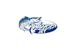 design unique jet boat logo
