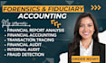 digital forensics, accounting ,osint investigation, and background checks