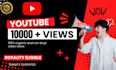 get 5000 promotion organic views on your youtube channel