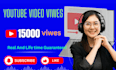 get organic youtube promotion 4000 views