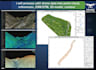 process uav drone data into point cloud, orthomosaic, dsm dtm, 3d model, contour
