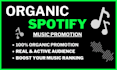 do professional spotify music promotion