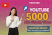 provide real 5000 youtube live stream views and engagement
