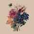 create a botanical illustration