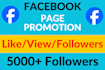 get 1000 facebook page followers and like