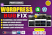 do wordpress bug fix, woocommerce fix, website maintenance