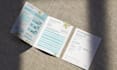 create a clean and modern flyer for your business