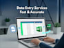 do accurate data entry from excel to website or system