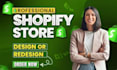 customize shopify website setup optimize store design with shopify store expert