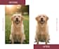 professionally remove background from your images fast within hours