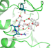 write high impact life science articles with professional quality