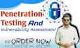 do professional penetration testing and vulnerability assessment