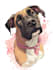 draw disney pet portrait