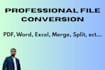 do professional file conversion PDF, excel, merge files