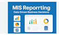 create professional mis reports and dashboards in excel