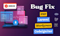 fix PHP laravel wordpress and codeigniter issues errors and problems solving