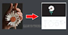 professionally vectorize, restore, and redesign your logo or image