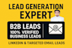 do accurate data entry, web research and b2b lead generation