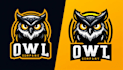 do design custom owl mascot logo with 1 day delivery
