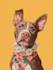 do disney pets portrait illustration in disney style