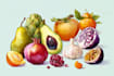 draw food, drink, fruit, vegetables illustration