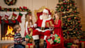 do christmas ai video youtube shorts pet ugc video  ads veo3 sora2 kling runway
