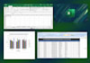 do basic data entry, cleaning, and formatting in excel