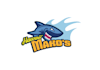 design high resolution baseball program logo